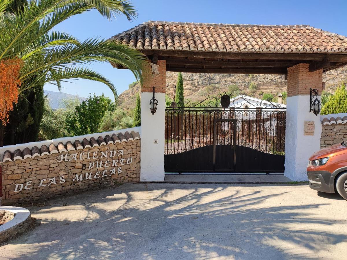 Hacienda Puerto De Las Muelas Ronda Kültér fotó