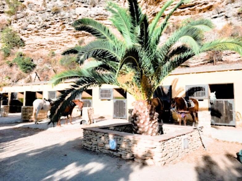 Hacienda Puerto De Las Muelas Ronda Kültér fotó