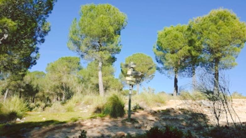 Hacienda Puerto De Las Muelas Ronda Kültér fotó
