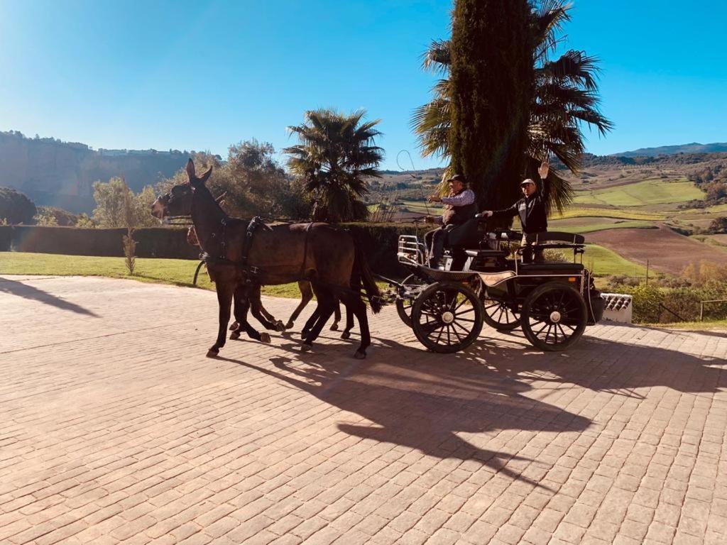Hacienda Puerto De Las Muelas Ronda Kültér fotó